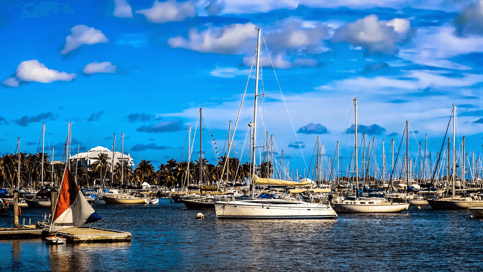 Sailboats and marina views in Coconut Grove Miami
